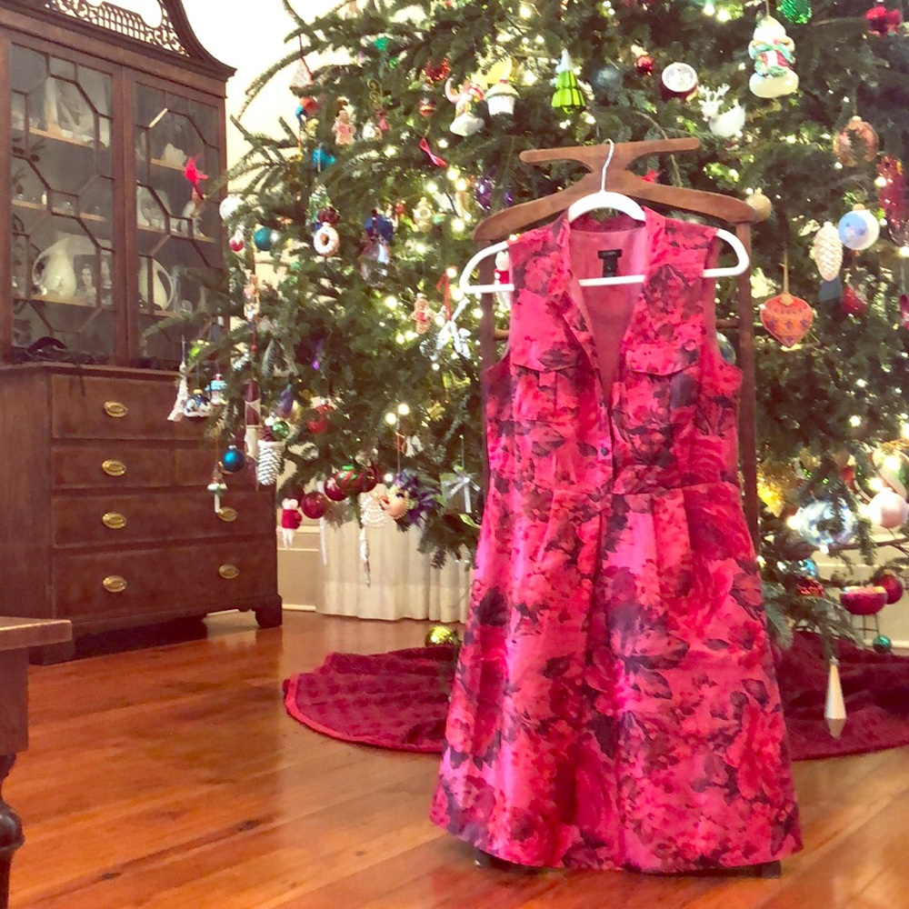 Vintage J. Crew Crimson Dress
